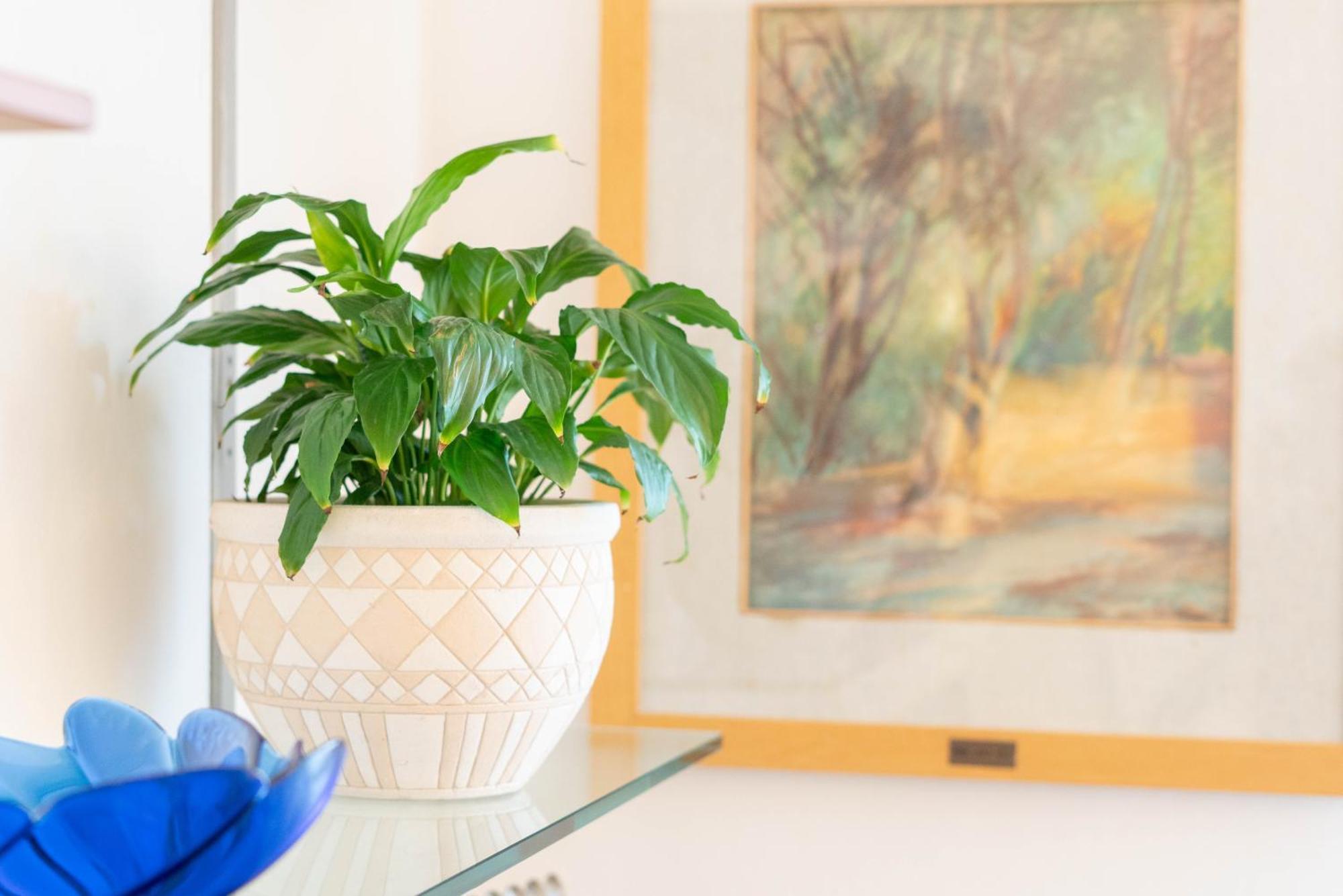 Poggio Nociano Apartment เซียนา ภายนอก รูปภาพ